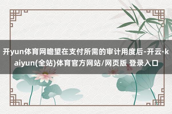 开yun体育网瞻望在支付所需的审计用度后-开云·kaiyun(全站)体育官方网站/网页版 登录入口