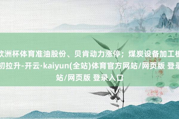 欧洲杯体育准油股份、贝肯动力涨停；煤炭设备加工板块盘初拉升-开云·kaiyun(全站)体育官方网站/网页版 登录入口