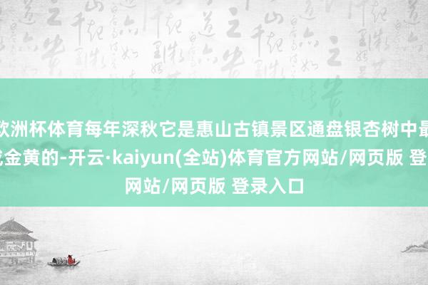 欧洲杯体育每年深秋它是惠山古镇景区通盘银杏树中最晚造成金黄的-开云·kaiyun(全站)体育官方网站/网页版 登录入口