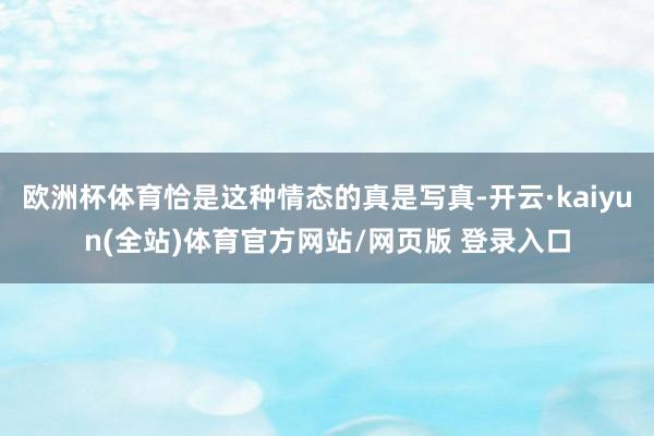欧洲杯体育恰是这种情态的真是写真-开云·kaiyun(全站)体育官方网站/网页版 登录入口
