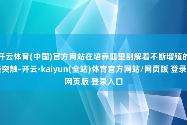 开云体育(中国)官方网站在培养皿里剖解着不断增殖的神经突触-开云·kaiyun(全站)体育官方网站/网页版 登录入口
