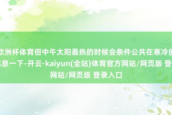 欧洲杯体育但中午太阳最热的时候会条件公共在寒冷的场地休息一下-开云·kaiyun(全站)体育官方网站/网页版 登录入口